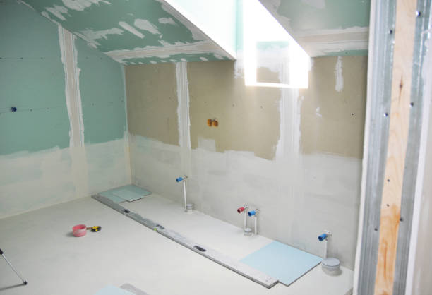 Mold Documentation for Insurance Claims in Montgomery, IL