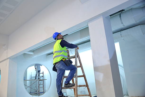 Professional Mold Removal in Montgomery, IL
